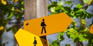 Robert Ruggiero https://unsplash.com/@robert2301